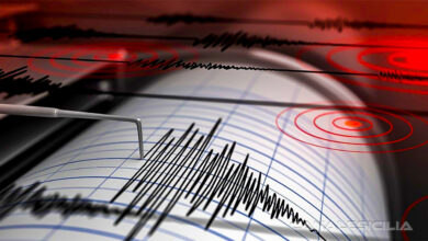 Sismografo Terremoto