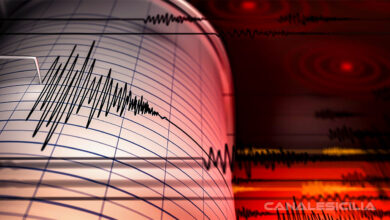 Terremoto Sismografo