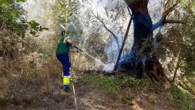 Incendio Gioiosa Marea