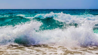 Mare Mosso Agitato