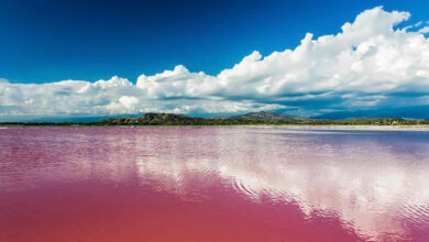 Lago Rosa Retba