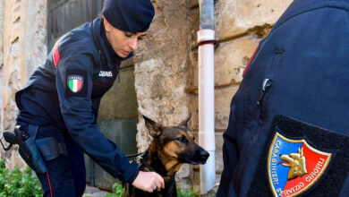 Carabinieri Cinofili