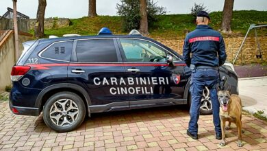 Cinofili Carabinieri