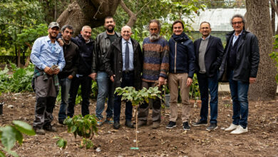 Morettino e Orto Botanico Palermo