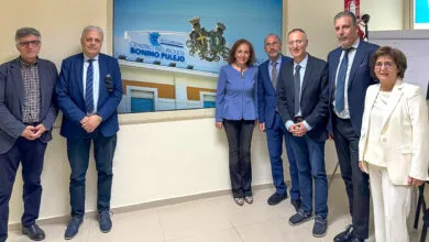 Collegio Sindacale Bonino Pulejo