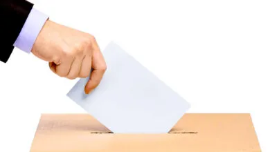 Elezioni