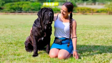 Tonino Esposizione Canina 2025 Palermo