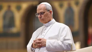 Papa Leone