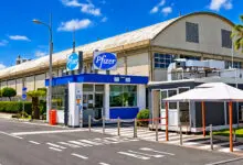 Pfizer Catania